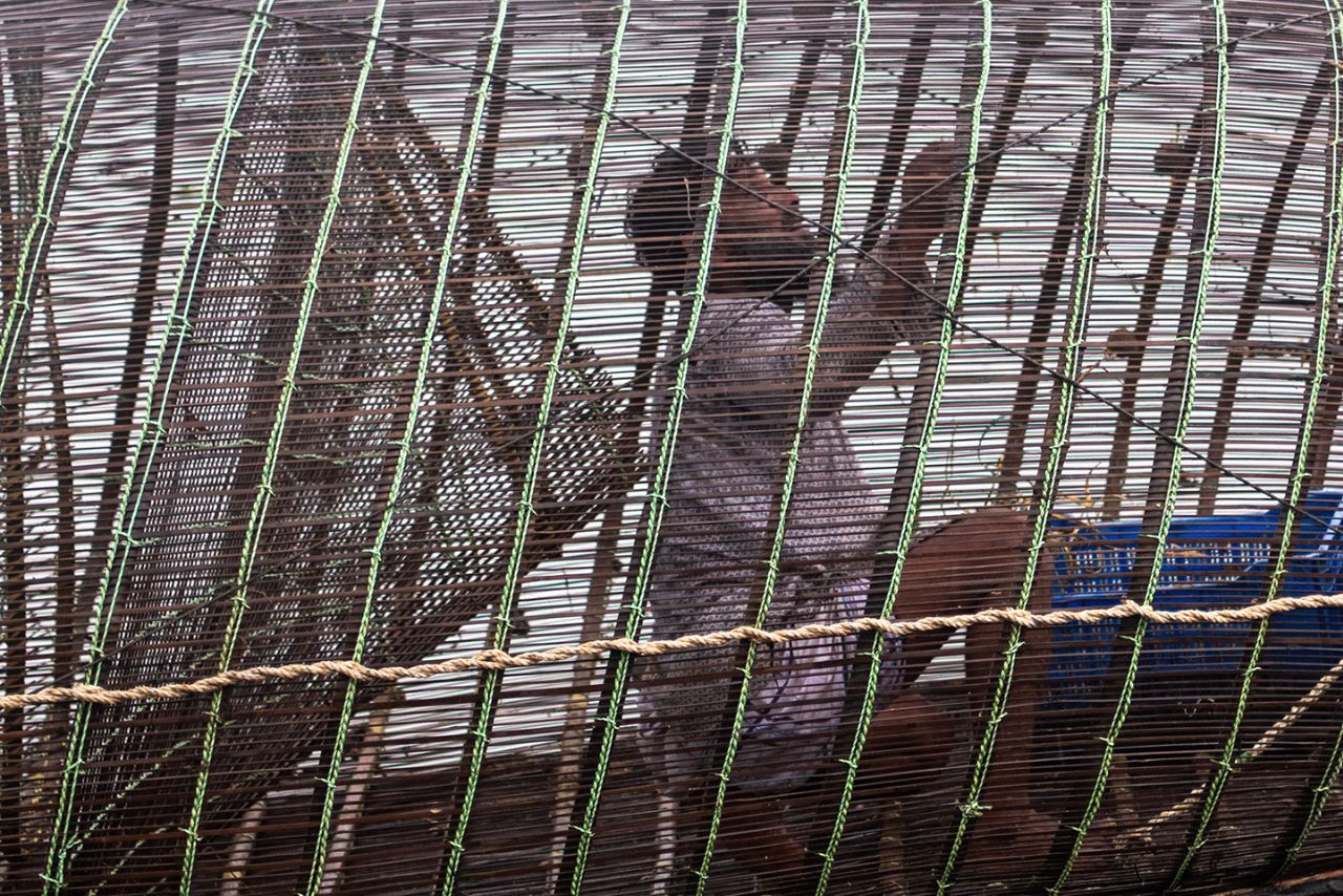 fishermen