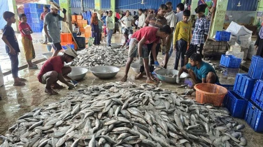 8-month ban on Jatka fishing begins tonight