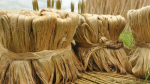 How jute rewires Bangladesh-China trade