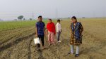 BGB foils BSF attempt to push 4 people into Bangladesh