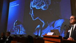 German, US scientists win Nobel Prize in medicine