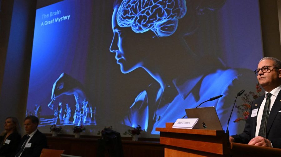 German, US scientists win Nobel Prize in medicine