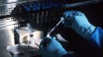 Russia places 189 under observation after suspected plague death