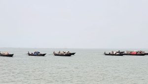 Shibchar steps up surveillance during hilsa ban