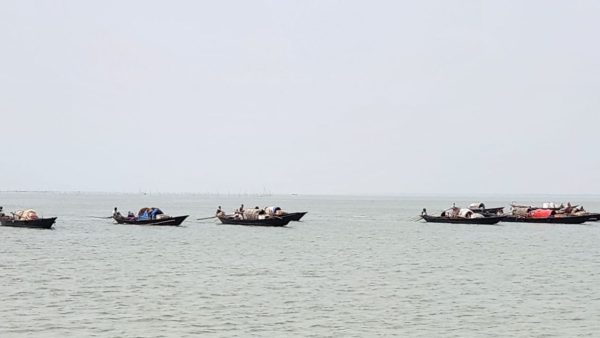 Shibchar steps up surveillance during hilsa ban