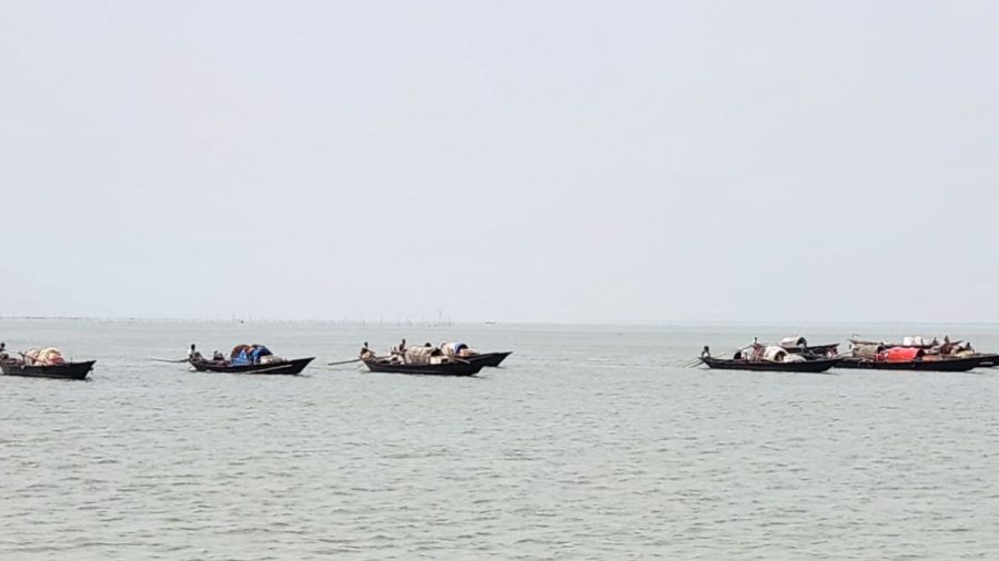 Shibchar steps up surveillance during hilsa ban