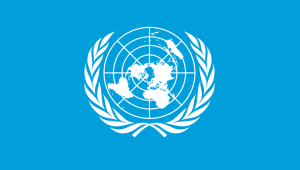 United Nations Day 2026: Is reform necessary or becoming irrelevant?