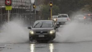Severe winds and heavy rain disrupt travel across New Zealand