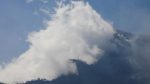 4 dead fighting wildfires in Indonesian national park