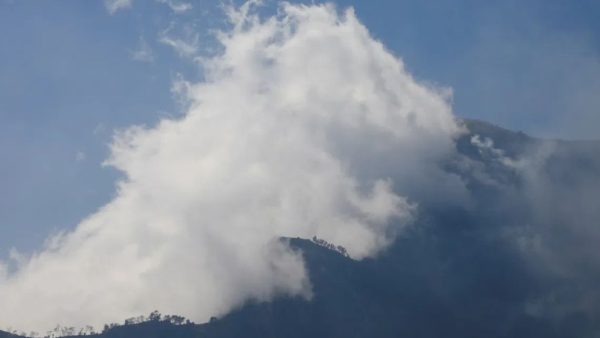4 killed fighting wildfires in Indonesian national park